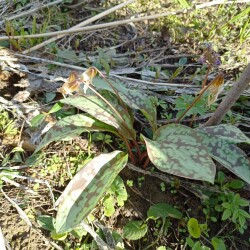 IMG_20260422_162947ec4f71381aa19534