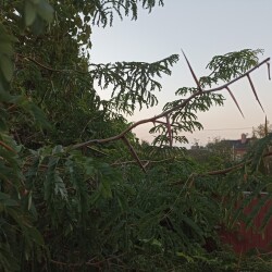 IMG_20240827_193156c27059bff5944154