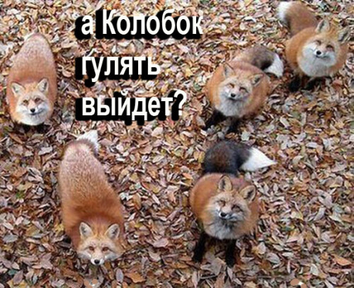 d58ba34a6e09ac16cfa952fa5aa70dce_i-166349ef2b3f5ce8448f3.jpg