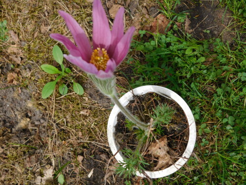 DSCN3610
