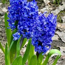 IMG_16303a68300bd07cc8d3