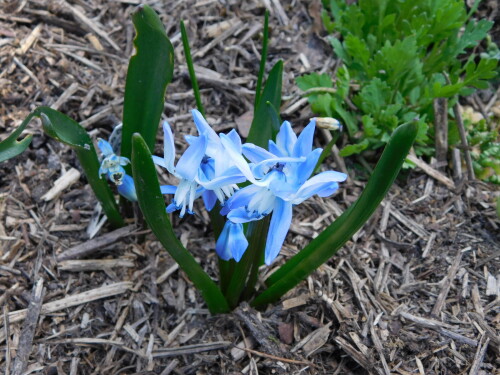 DSCN3277875d93ea2ceb548f.jpg