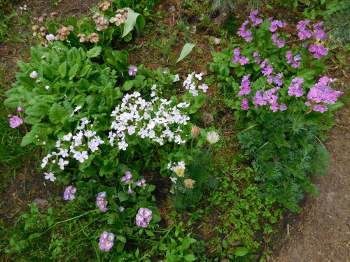 DSCN4379d1c29d0a4c0e9df7.jpg
